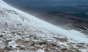 Gale force Southerly winds